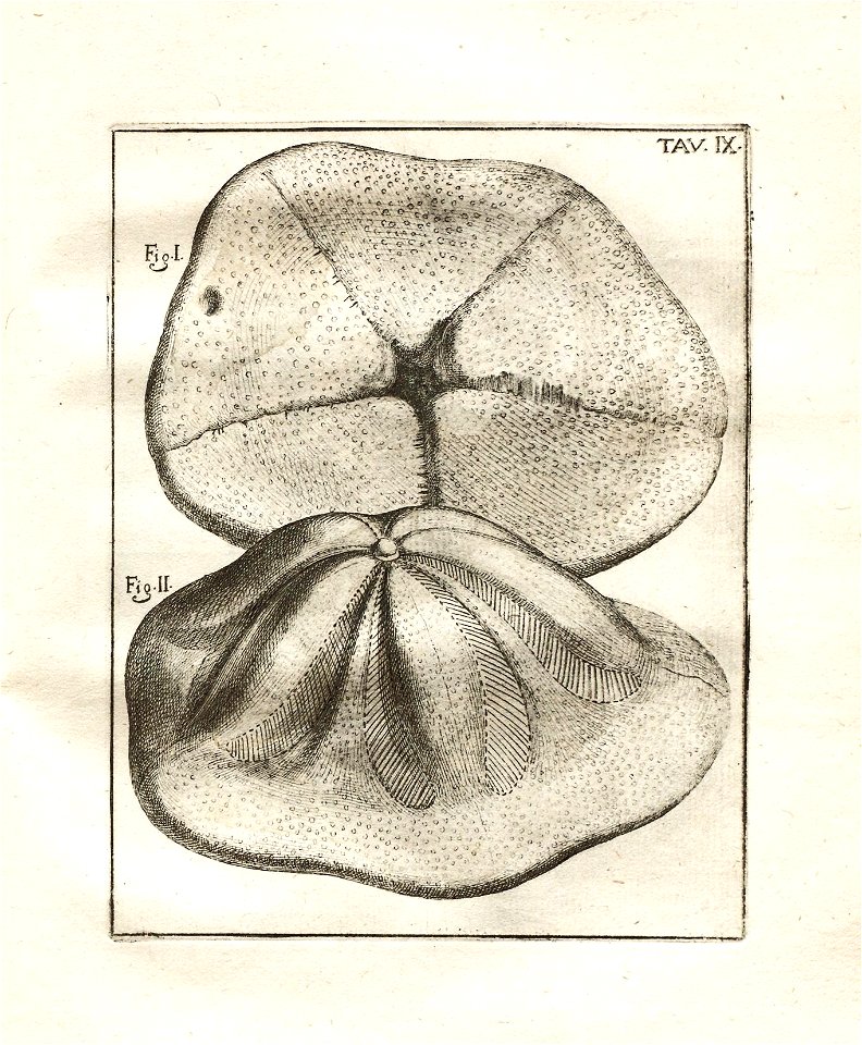n103_w1150