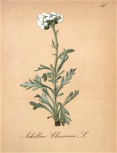 n158_w1150