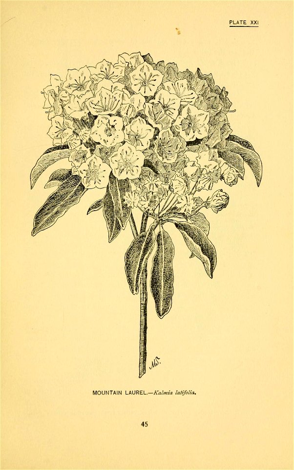 n102_w1150