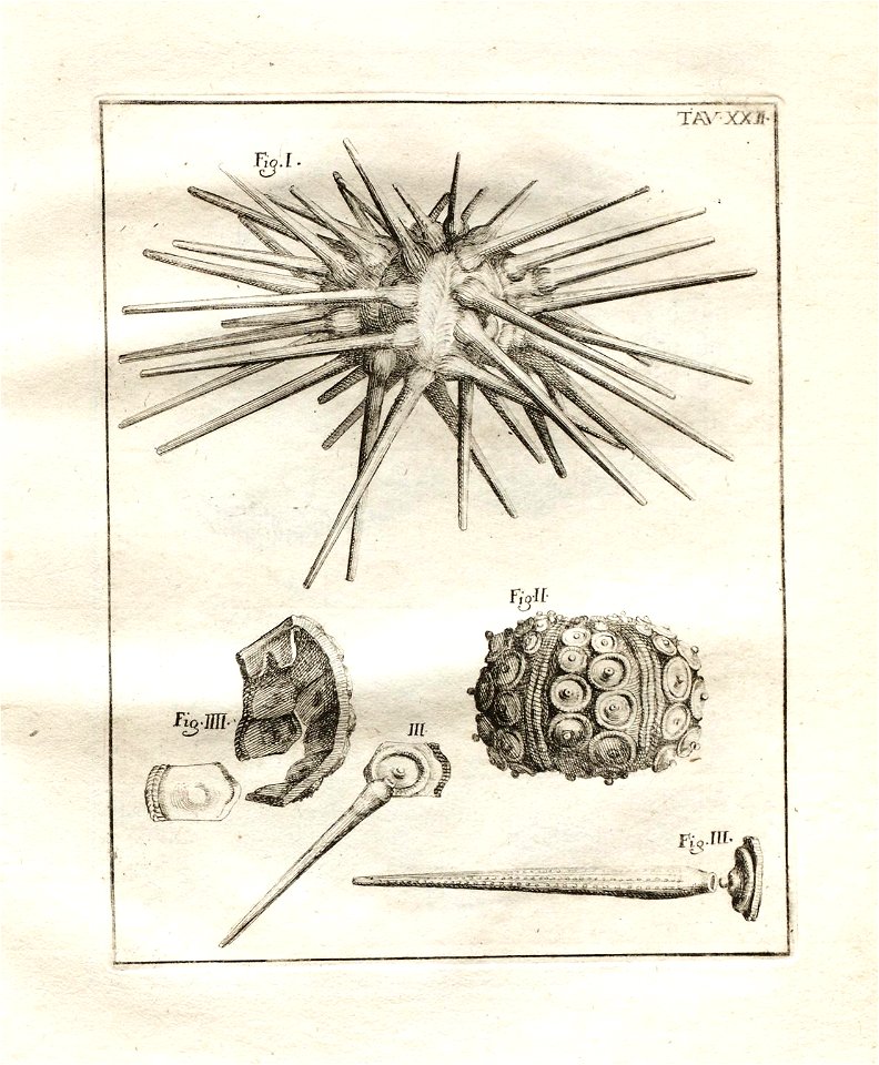 n117_w1150