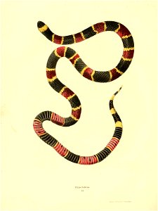 n127_w1150