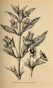 n178_w1150