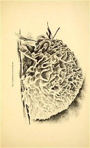 n204_w1150
