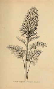 n392_w1150
