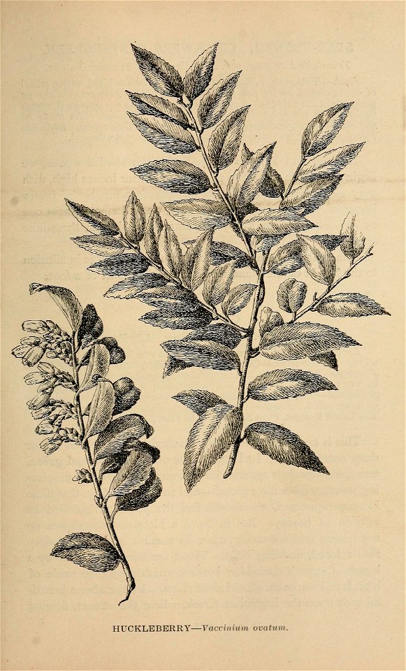 n256_w1150