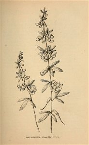 n208_w1150