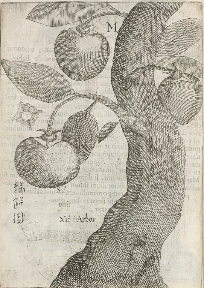n46_w1150