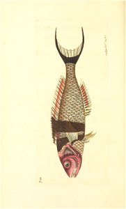 n101_w1150