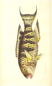 n143_w1150