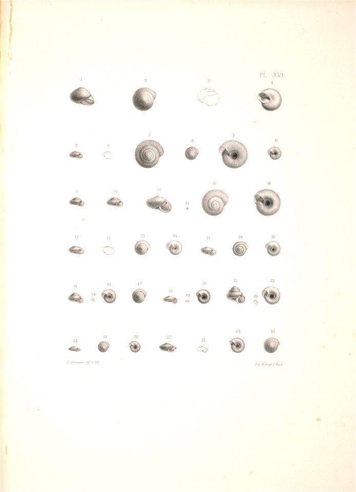 n384_w1150