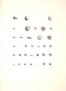 n384_w1150