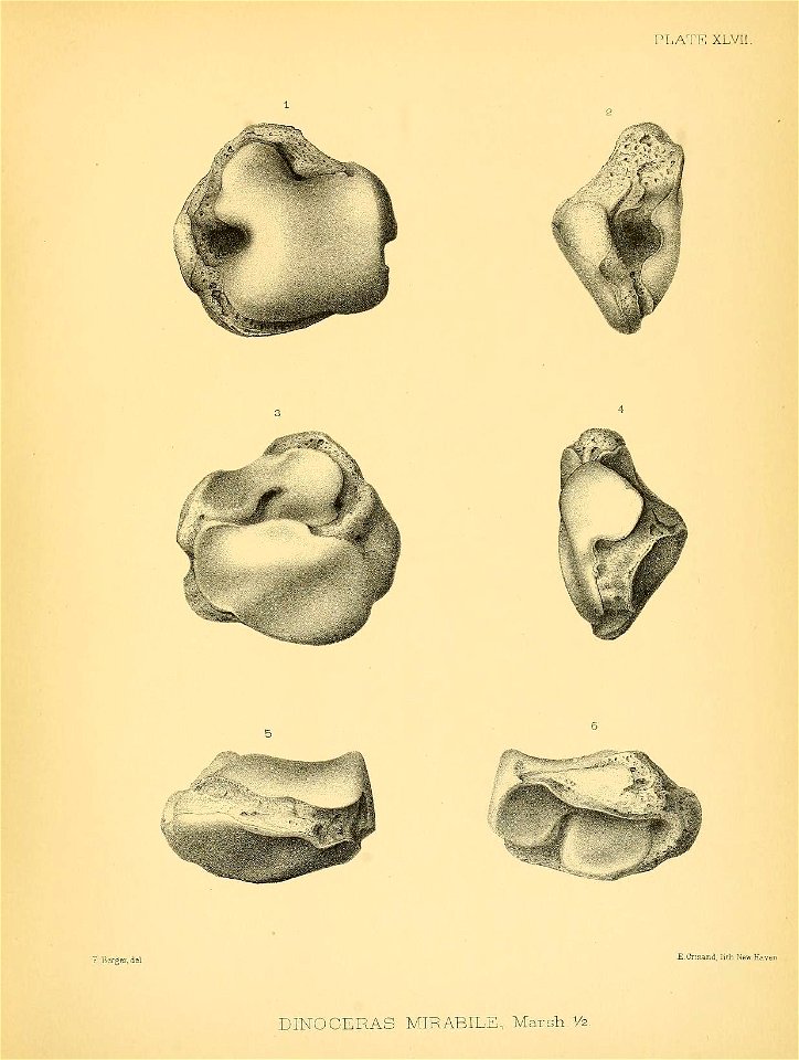 n454_w1150