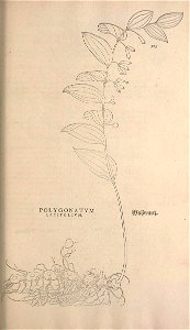 n618_w1150