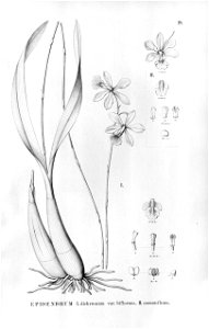 n118_w1150