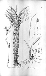 n452_w1150