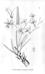 n115_w1150