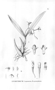 n114_w1150