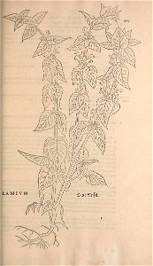 n502_w1150