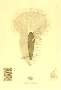 n102_w1150