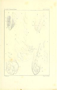 n128_w1150