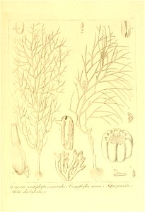 n160_w1150