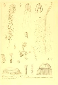 n372_w1150