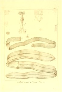 n312_w1150