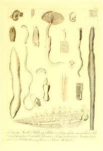 n222_w1150