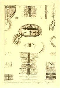 n192_w1150