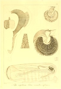 n158_w1150