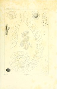 n158_w1150