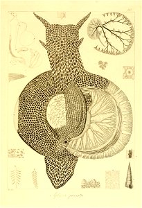 n126_w1150
