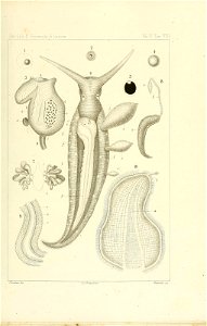 n122_w1150