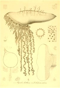 n368_w1150