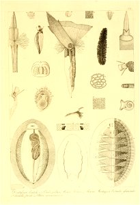 n154_w1150