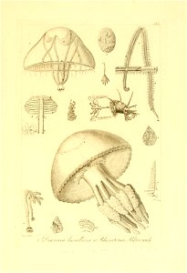 n294_w1150