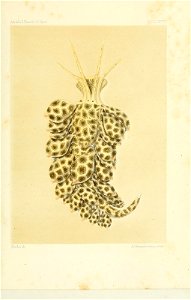 n168_w1150