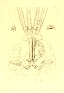 n40_w1150