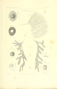 n132_w1150