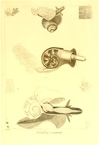 n140_w1150
