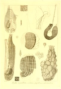 n170_w1150