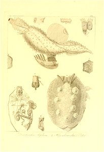 n108_w1150
