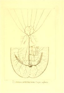 n46_w1150