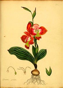 n502_w1150