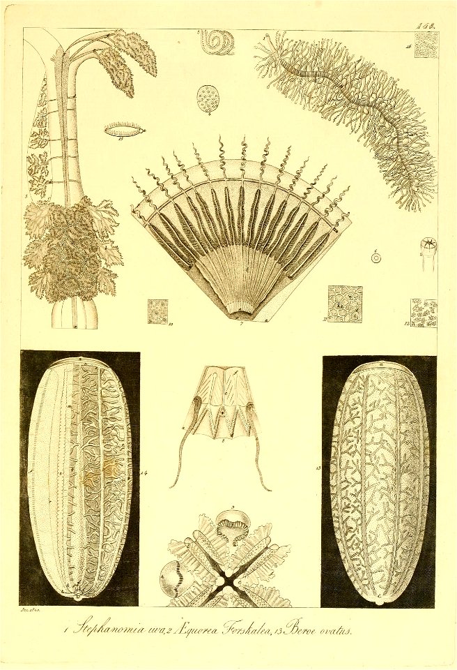 n306_w1150