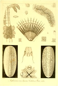 n306_w1150