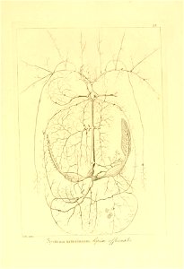 n62_w1150