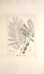 n94_w1150