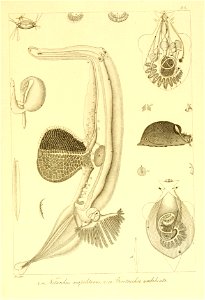 n134_w1150