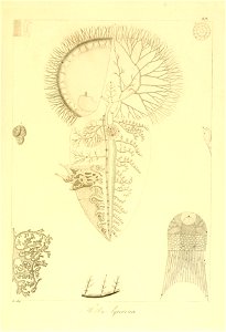 n104_w1150